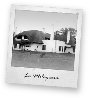 la-milagrosa-polaroid