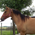 DSCN0395