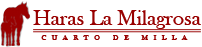 logo-1
