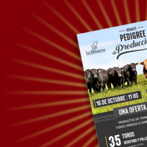 Gran Remate Pedigree de Producción